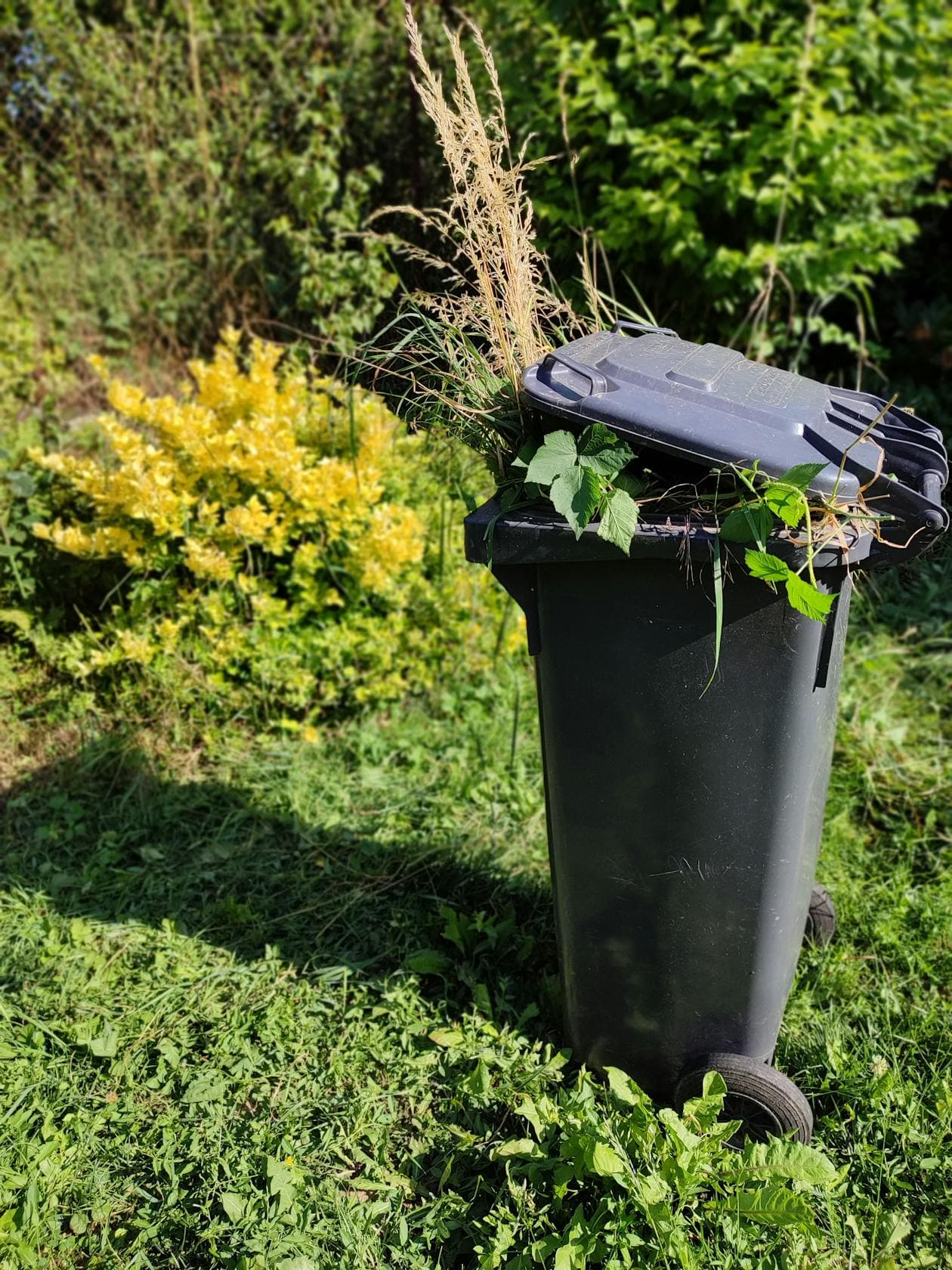 Absetzcontainer 7 m³ — Gartenabfall