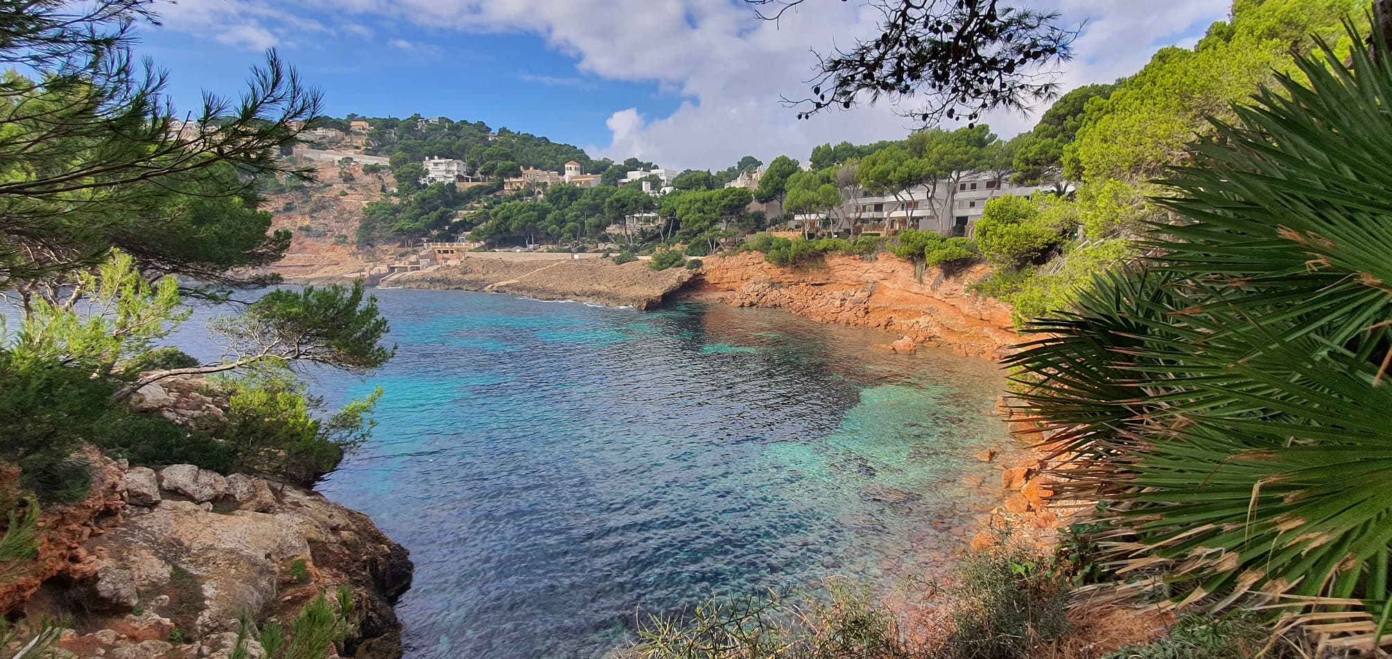 Wohnung Port Andratx Mallorca
